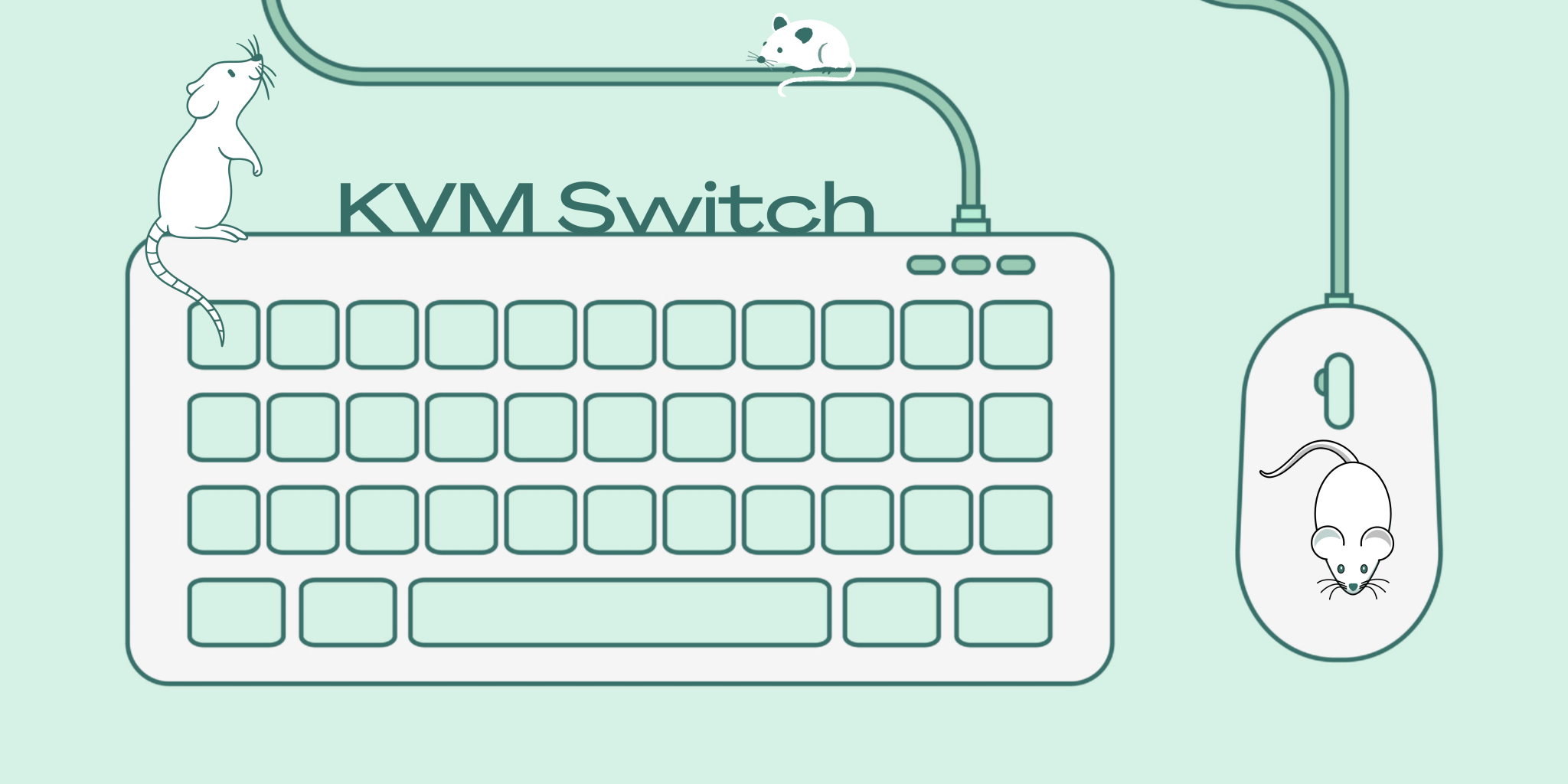 What does a KVM switch do? Bzbgear