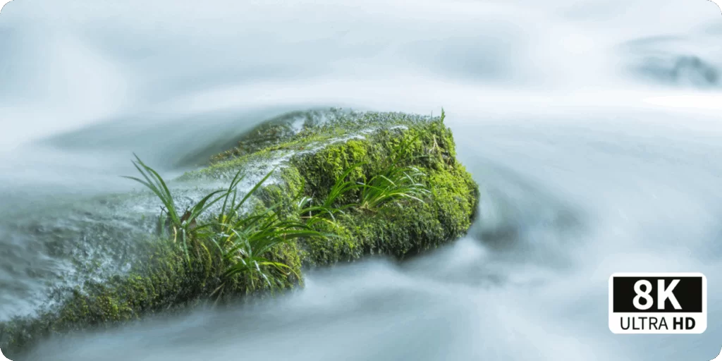 8K Video Distribution Solutions